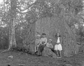4 barn i trollskogen, 1920-tal