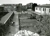 Korsåsen Korsåsgatan Korsåsliden
Radhus uppförda 1973-74
Bostadsaktiebolaget lät sin elementfabrik producera betongelement till radhusen på Korsåsen som ett experiment. Korsåsen blev det enda området av sitt slag som byggdes på det här viset, trots att husen ansågs vara både prisvärda och med hög trivsel.