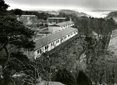 Korsåsen Korsåsgatan Korsåsliden
Radhus uppförda 1973-74
Bostadsaktiebolaget lät sin elementfabrik producera betongelement till radhusen på Korsåsen som ett experiment. Korsåsen blev det enda området av sitt slag som byggdes på det här viset, trots att husen ansågs vara både prisvärda och med hög trivsel.