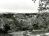 Korsåsen Korsåsgatan Korsåsliden
Radhus uppförda 1973-74
Bostadsaktiebolaget lät sin elementfabrik producera betongelement till radhusen på Korsåsen som ett experiment. Korsåsen blev det enda området av sitt slag som byggdes på det här viset, trots att husen ansågs vara både prisvärda och med hög trivsel.
