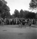 Studenterna, 3/6 1941. Studenter och anhöriga m.fl. på väg runt hörnan vid korsningen Kronobergsgatan - Norra Järnvägsgatan.  I bakgrunden skymtar bl a järnvägsbron.