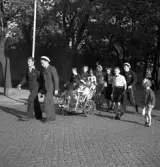 Studenterna, 4/6 1941. En kvinnlig student körs i lövad kärra längs Kungsgatan. I bakgrunden syns trädgårdsmuren till Residenset.