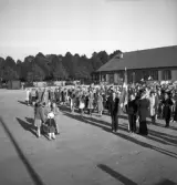 Svenska Flaggans dag, 6/6 1941. 
Uppställning med flaggor m.m. utanför ett långt magasin (på nuv. Oxtorget ?).