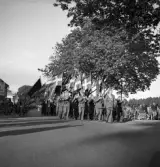 Svenska Flaggans dag, 6/6 1941. 
Marsch med musikkår och flaggbärare.