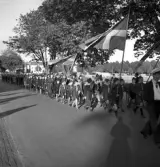 Svenska Flaggans dag, 6/6 1941. 
Scouter på marsch med flaggor m.m.
