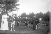 Äldre par med son förvisar sina kor, 1920-tal