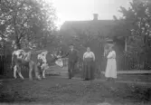 Familj visar upp sin fina tjur, 1920-tal
