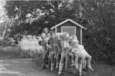 Malmbronäs, Grödinge. Barn på fest.