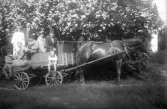 Familj åker på flaket bakom en häst på landet, 1920-tal