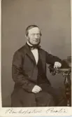 Porträtt av brukspatron Brolin. Text baksida: patron Fredrik Brolin, 1865.