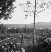 Falun, Finnbodarna, Sundborn. Mörberget och Håsjön från Finnbodarna.