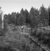 Falun, Edhult, Sundborn. Hällstup vid Ljusbrunnsbäcken, Buskbo.