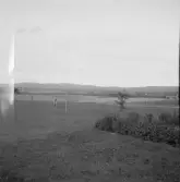 Falun, Edhult, Sundborn, Backa.