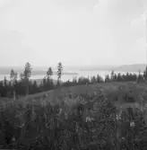 Falun, Sundborn, Hinsen. Hinsen från Hinsåsens sluttning.