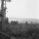 Falun, Sundborn, Hinsen. Hinsen från Hinsåsens sluttning.