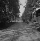 Falun, Sundborn, Hinsen, Korsån.