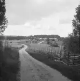 Falun, Sundborn, Riset. Härbre vid Bergsmans.