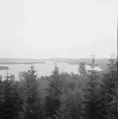 Falun, Sundborn, Logärden.