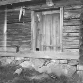 Falun, Sundborn, Rostberg. Källarbodens dörr hos Rönnbergs i nedre Rostberg.