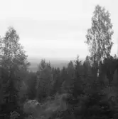 Falun, Sundborn, Rostberg.