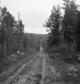 Falun, Sundborn, Rostberg. Vägen genom Nedra Rostberg (tid. Syltbo).