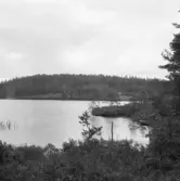 Falun, Sundborn, Rupstjärn.