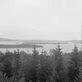 Falun, Sundborn, Logärden.