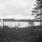 Falun, Sundborn, Rupstjärn.