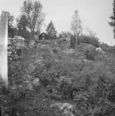 Falun, Sundborn, Skuggarvet.