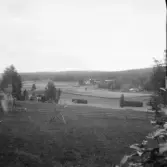 Falun, Sundborn, Skuggarvet. Tall på Hornberget och Gallsjödalen. Stadsberget i bakgrunden.