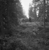 Falun, Sundborn, Skuruhäll. Råröset på Skuruhäll, där fem socknar mötas.