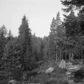 Falun, Sundborn, Skuruhäll.