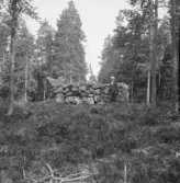 Falun, Sundborn, Skuruhäll. Röse.