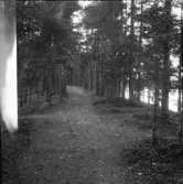 Falun, Sundborn, Tofta brunn.  Wasastigen söder om Tofta brunn.