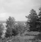 Falun, Sundborn, Tofta brunn.