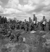 Hemvärnet, 28/6 1941. 
Ett antal män i hemvärnsuniform ser på något från en höjd.