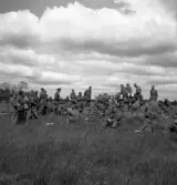 Hemvärnet, 28/6 1941. 
Ett antal män i hemvärnsuniform tar en paus på ett gärde.