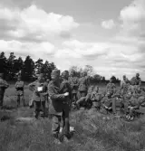 Hemvärnet, 28/6 1941. 
Några män i hemvärnsuniform ser på, när en äldre man i uniform
kastar iväg något.