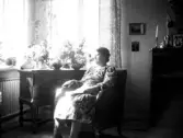Porträtt av en oidentifierad kvinna, som sitter i en fåtölj vid ett fönster. På skänken intill står flera blombuketter så möjligen firas hennes födelsedag. Kanske avser noteringen Berta eller Beda i Eftra denna bild.