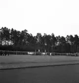 Svenska Flaggans dag 1943. 
Gymnastikuppvisning (på bom), av några kvinnliga gymnaster på Värendsvallen.