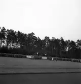 Svenska Flaggans dag 1943. 
Gymnastikuppvisning (på bom), av några kvinnliga gymnaster på Värendsvallen.