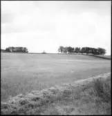 Forstena. Lennart Torstenssons monument