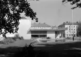 Östergötlands museum 1948