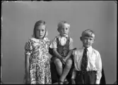 Grupporträtt. Tre barn, Elsa Johansson, Björke, Munktorp.
Ur Gustaf Åhmans samling.