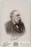 Porträtt på första Stadsläkare Gustaf Constans Leonard Engstrand, Jönköping. Född i Tidersrum i Östergötland år 1836 och död i Jönköping år 1902.