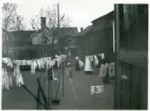Västerås, Centrum, kv. Linnéa.
Kvinnor hänger tvätt på innergård, 1902.