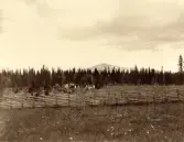 Barn och lärarinnor från kolonin i Ånn ute i fjällnatur