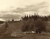 Vy över fjällkolonin i Ånn