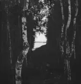 Falun, väster och öster om Varpan. St Kopparbergs kyrka från Varbo.