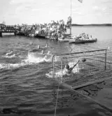 Evedal, 1943. 
Vattenpolomatch. I bakgrunden syns bl a en brygga med mycket publik.